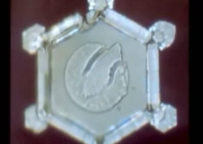 Mount Cook Gletscherwasser Neuseeland Bild-3