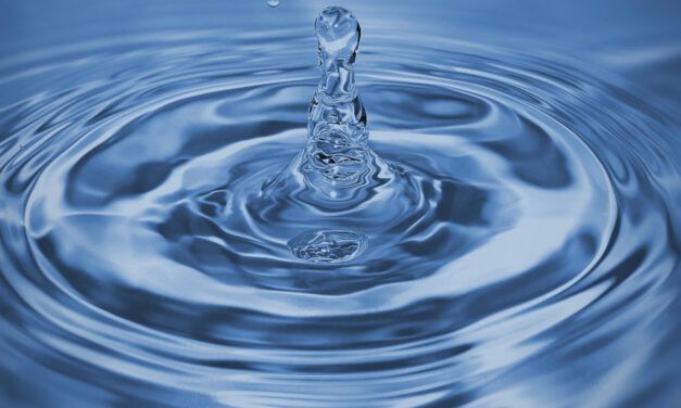 Gesundes Wasser – Teil 1